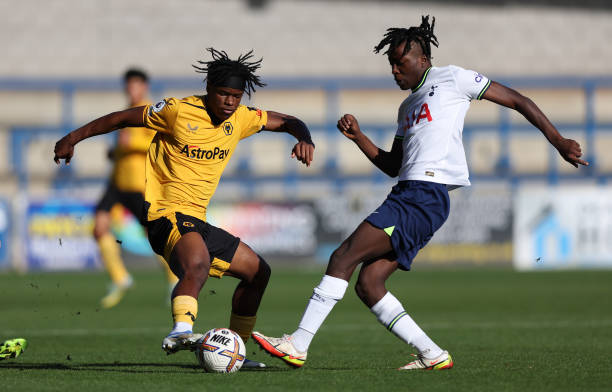 量的优势 量的优势